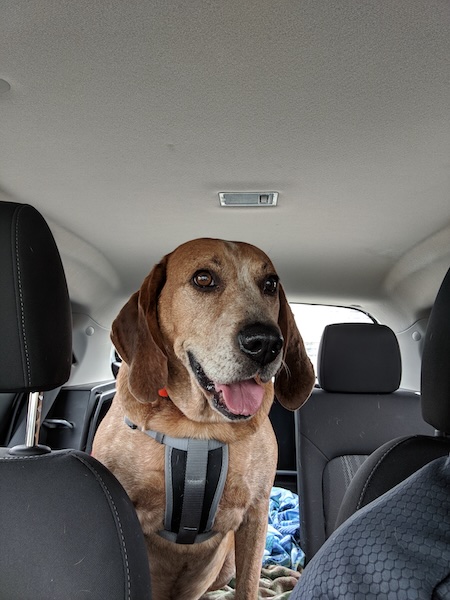 Ray knew when the car trips were for something fun